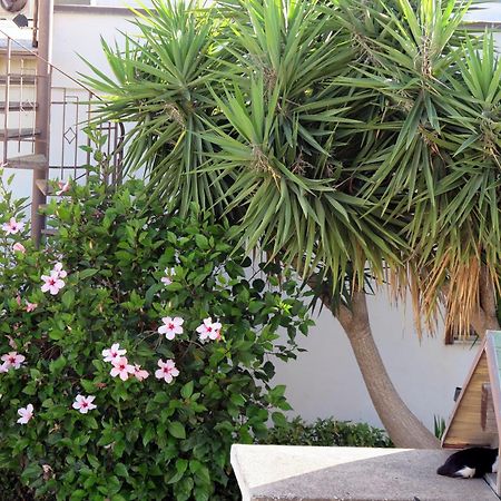 Casa Floriana A San Leone Villa Exterior foto